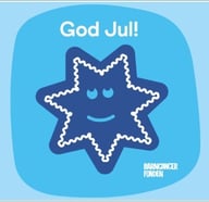 Skärmbild 2025-11-24 093118