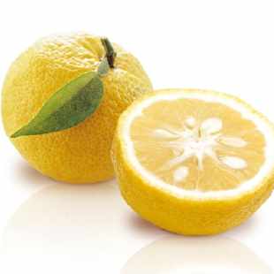 /media/10275/yuzu.jpg