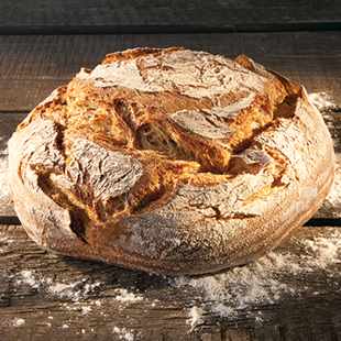 /media/6106/Ireks-malt-o-surdeg.jpg